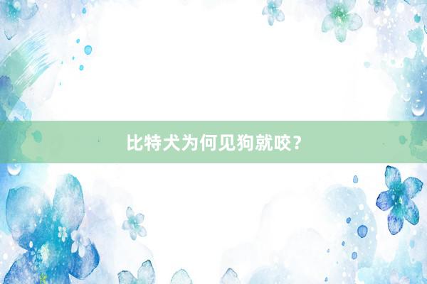 比特犬为何见狗就咬？