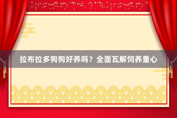 拉布拉多狗狗好养吗？全面瓦解饲养重心