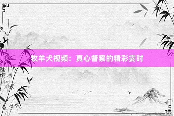 牧羊犬视频:真心督察的精彩霎时